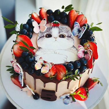 Торт "Котенок" купить - новороссийск.сладкоежкин.рф